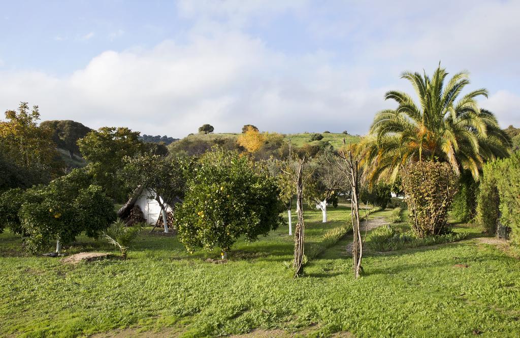 Cuevas Del Pino Turismo Rural Y Emocional Sl Guest House Villarrubia Exterior photo